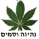 נהיגה וסמים